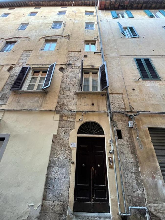 Mossotti Street Apartment Pisa Dış mekan fotoğraf